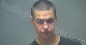 GRIFFIN-DENMAN, ASHLEY MCKAY | 2021-12-02 13:24:00 Isabella County, Michigan Booking