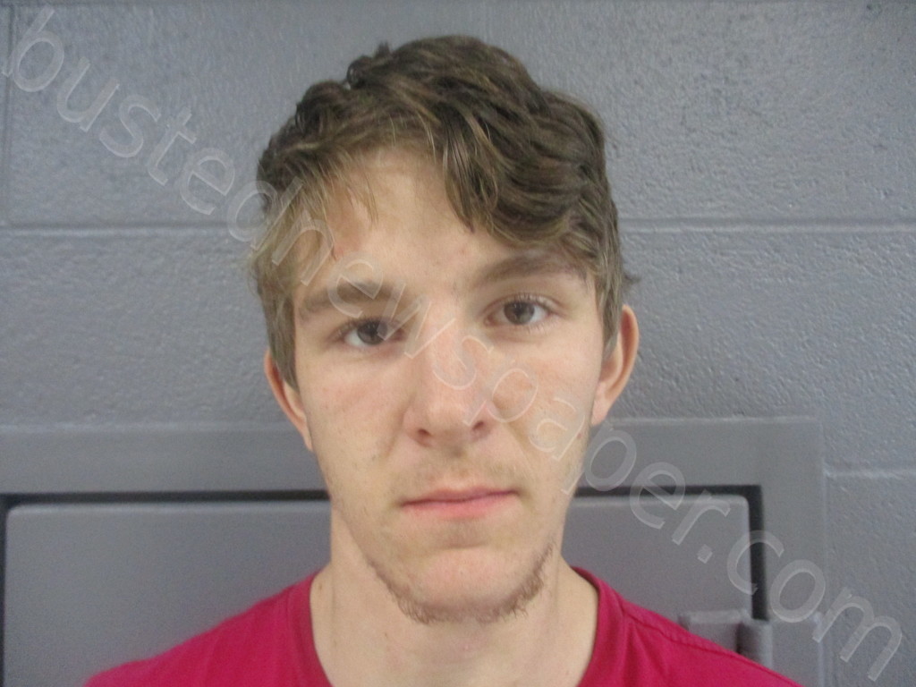 ULDERICH, DOMINIC ORION #, Preston County, West Virginia - 2021-12-03 16:10:00