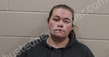 SAMANTHA NICOLE ARMSTRONG | 2021-12-03 10:54:00 Andrew County, Missouri Booking