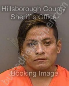 LOPEZ GARCIA,CONSTANTINO | 2021-12-05 03:48:00 Hillsborough County, Florida Booking