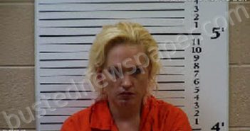 LEMON, LINDSEY ANN | 2021-12-05 03:07:00 Cherokee County, North Carolina Booking