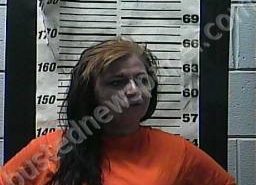 KARRIE SANDERLIN | 2021-12-07 13:44:00 Cocke County, Tennessee Booking