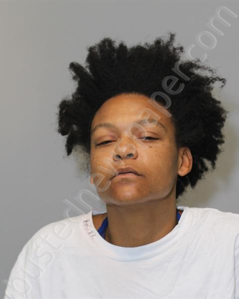 FORD, DIONESIA O #, Riverside Regional Jail, Virginia - 2021-12-07