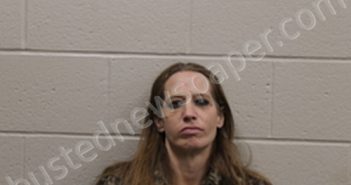 SANTINA K CAMPBELL | 2021-12-07 09:04:00 Andrew County, Missouri Booking
