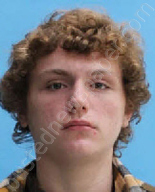 GARCIA, BRANDON JAMES #, Desoto County, Florida - 2021-12-08 19:20:00