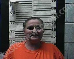 PATRICIA WELLS #, Cocke County, Tennessee - 2021-12-08 21:18:00