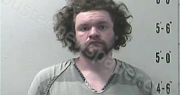 WATSON, WADE KALEB TEX | 2021-12-08 13:04:00 Pulaski County, Indiana Booking