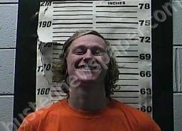 DEVON LINGE | 2021-12-08 04:05:00 Cocke County, Tennessee Booking