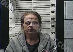 TAMI MASSEY | 2021-12-09 10:30:00 Cocke County, Tennessee Booking
