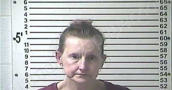 HICKS, DANIELA RENEE | 2021-12-10 23:37:00 Hardin County, Kentucky Booking