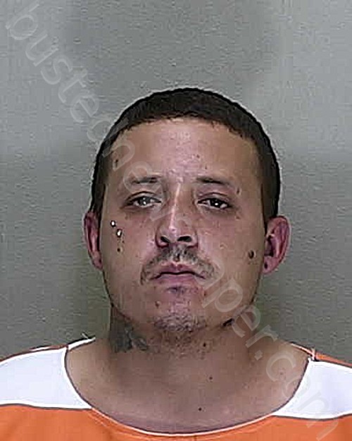 HERNANDEZ-VEGA, MICHAEL #, Marion County, Florida - 2021-12-10 16:43:00