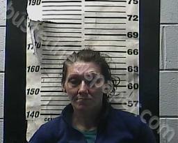 STACIE ANDERSON #, Cocke County, Tennessee - 2021-12-11 01:05:00