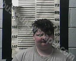 SARAH PHILLIPS #, Cocke County, Tennessee - 2021-12-11 14:46:00