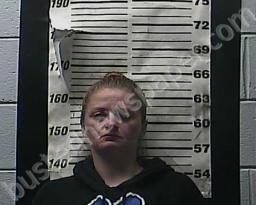 TIFFANY TURNER #, Cocke County, Tennessee - 2021-12-11 14:11:00