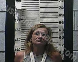 AMY COOK #, Cocke County, Tennessee - 2021-12-11 15:25:00