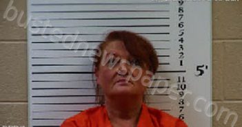 ANDERSON, DELIA LYNETTE | 2021-12-12 20:07:00 Cherokee County, North Carolina Booking