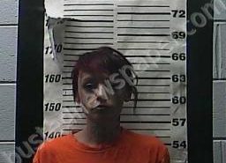 CHLORISSA SARTAIN | 2021-12-13 13:55:00 Cocke County, Tennessee Booking
