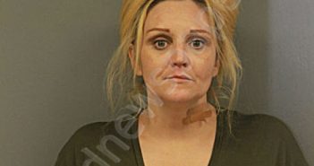 MELISSA A CELMER | 2021-12-13 Chicago, Illinois, Cook County, Illinois Booking