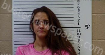 WALDROUP, PATRICA ANN | 2021-12-13 14:59:00 Cherokee County, North Carolina Booking