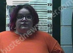 ANITA GARRETT | 2021-12-15 12:24:00 Cocke County, Tennessee Booking