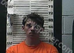 BRANDON GROOMS | 2021-12-15 18:13:00 Cocke County, Tennessee Booking