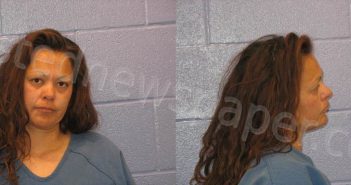 LUJAN, LILIANA | 2021-12-16 Andrews County, Texas Booking
