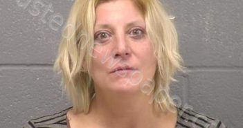 SANCHEZ, BONNIE T | 2021-12-18 00:49:00 Will County, Illinois Booking