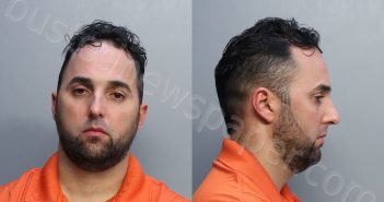 RAMOS, DALLAN LAZARO | 2021-12-19 02:32:00 Miami-Dade County, Florida Booking