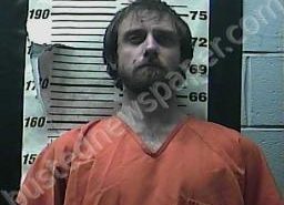 DEVYN CHILDS | 2021-12-19 20:44:00 Cocke County, Tennessee Booking