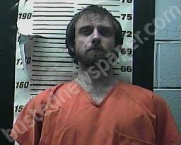 DEVYN CHILDS #, Cocke County, Tennessee - 2021-12-19 20:44:00