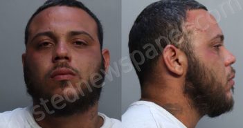 BLANCO, ANEUDI | 2021-12-19 03:49:00 Miami-Dade County, Florida Booking