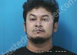 MANUEL LICEA | 2021-12-19 02:35:00 Williamson County, Tennessee Booking