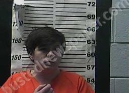 ASHLEY BISHOP | 2021-12-20 16:13:00 Cocke County, Tennessee Booking