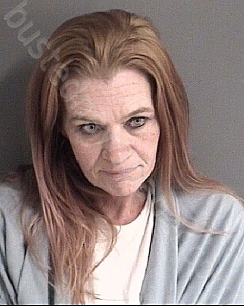 WOTEN, TASHA LYNN #, Story County, Iowa - 2021-12-20