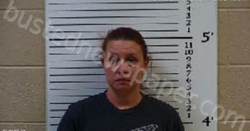 JOHNSON, TARA ASHLEY | 2021-12-20 13:59:00 Cherokee County, North Carolina Booking