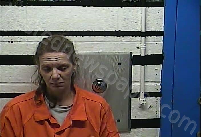 NELSON, CYNTHIA #, Larue County, Kentucky - 2021-12-22 19:38:00