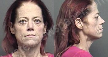 SMITH,MICHELLE LISA | 2021-12-26 06:15:00 Saline County, Kansas Booking