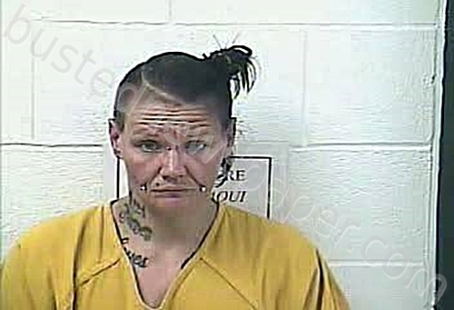AGEE, RITA NICHOLE #, Daviess County, Kentucky - 2021-12-27 20:08:00