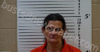 HAWKINS, DELENA CRISTINE | 2021-12-28 09:24:00 Cherokee County, North Carolina Booking