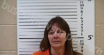 BEZEMER, MALISSA RARI | 2022-01-04 18:21:00 Cherokee County, North Carolina Booking