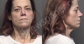 SMITH,MICHELLE LISA | 2022-01-04 20:30:00 Saline County, Kansas Booking
