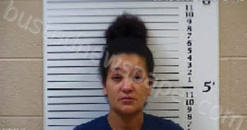 GREENLEE, SHALEES MARIE | 2022-01-04 13:58:00 Cherokee County, North Carolina Booking