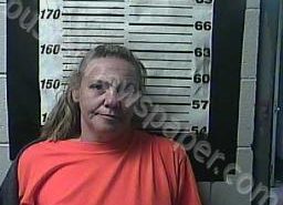 <B>AMANDA</B> <B>FAIN</B> #, Cocke County, Tennessee - 2022-01-05 12:10:00