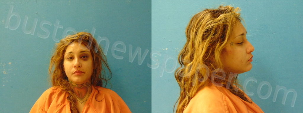 MEDELLIN, BRITTNEY JEAN #, Guadalupe County, Texas - 2022-01-06