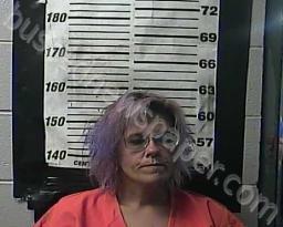 CYNTHIA LANE #, Cocke County, Tennessee - 2022-01-06 14:55:00