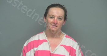 HOLLAWAY, SHELBY LYNN | 2022-01-11 07:44:00 Montgomery County, Texas Booking