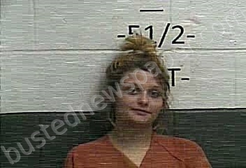 HARRIS / DOAN, ALICIA #, Whitley County, Kentucky - 2022-01-11 11:08:00