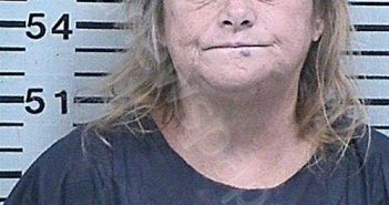 MCMILLAN, CYNTHIA ANN | 2022-01-13 23:55:19 Hood County, Texas Booking