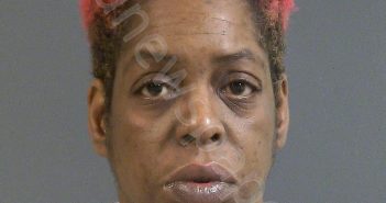 HICKMAN, RAMONA RENEA | 2022-01-17 07:03:00 Charleston County, South Carolina Booking