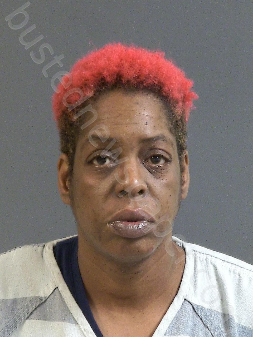 HICKMAN, RAMONA RENEA #, Charleston County, South Carolina - 2022-01-17 07:03:00